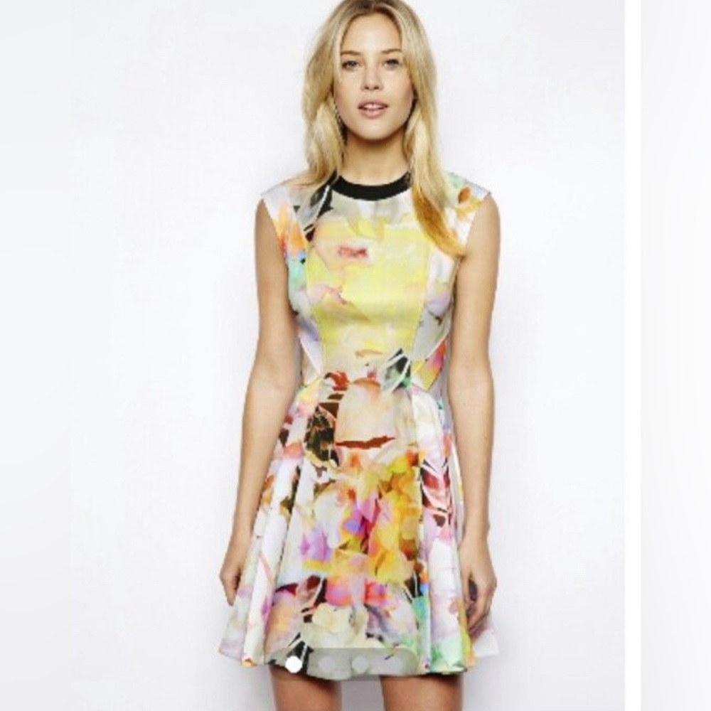 Ted Baker London Jeneyy Electric Day Dream Dress  UK2 US6  Fit & Flare floral